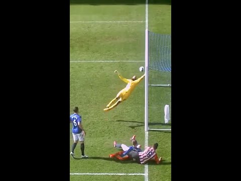 Is this the best Premier League save EVER? 😱